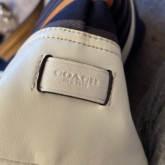 Hadley Multi Color Stripe Coach Bag - Picture 10 of 13